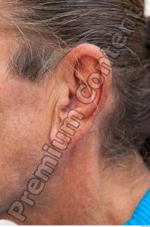 Ear texture of street references 435 0001